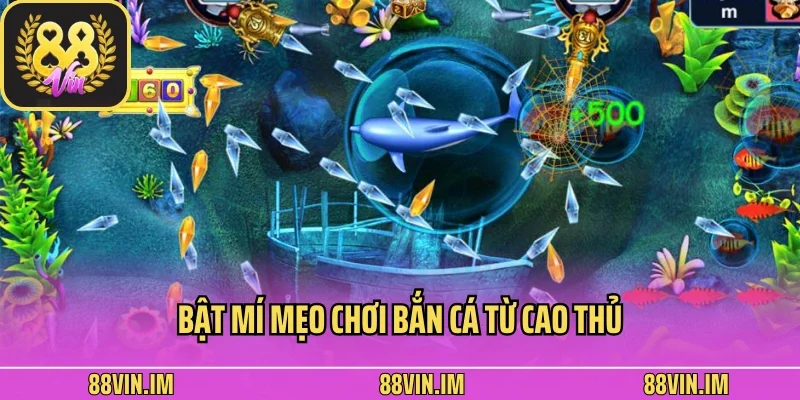 Bắn Cá 88vin 3 Bật mí mẹo chơi bắn cá từ cao thủ