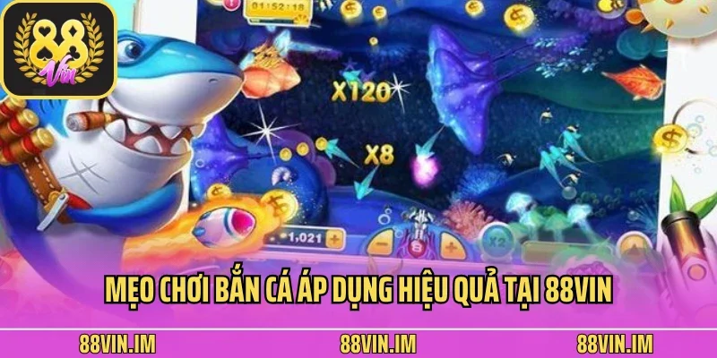 Học Hỏi Mẹo Chơi Bắn Cá Đỉnh Cao Từ Các Cao thủ Lâu Năm 2 Mẹo chơi bắn cá áp dụng hiệu quả tại 88Vin